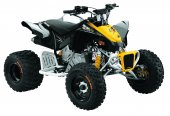 2010 Can-Am DS 90 X photo